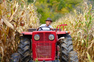 farmer on tractor